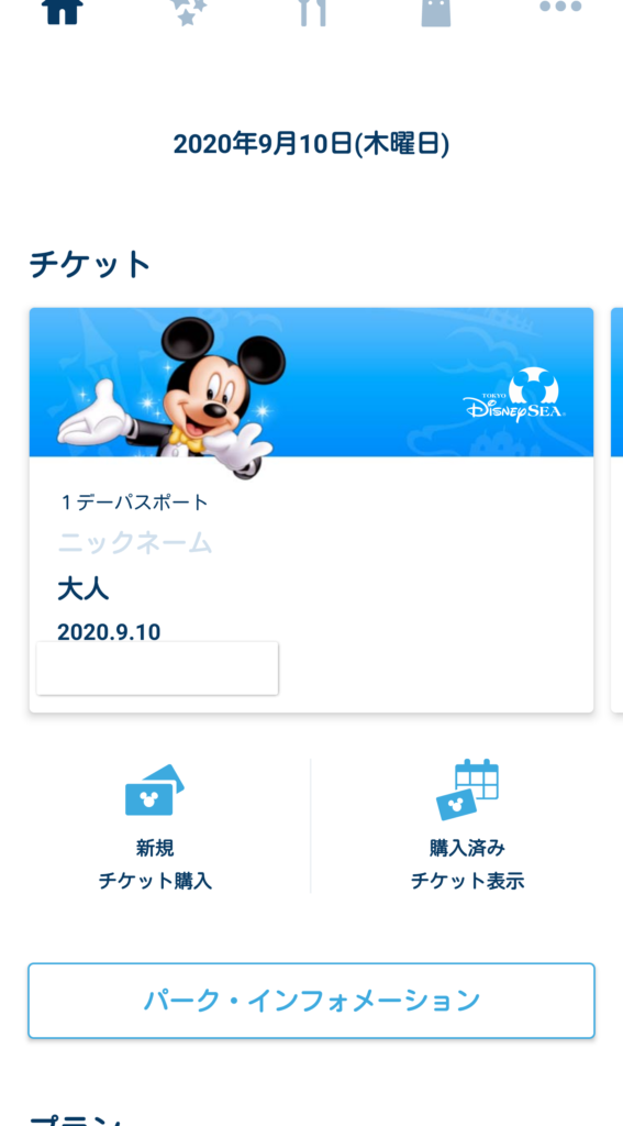 ディズニーチケットチケット